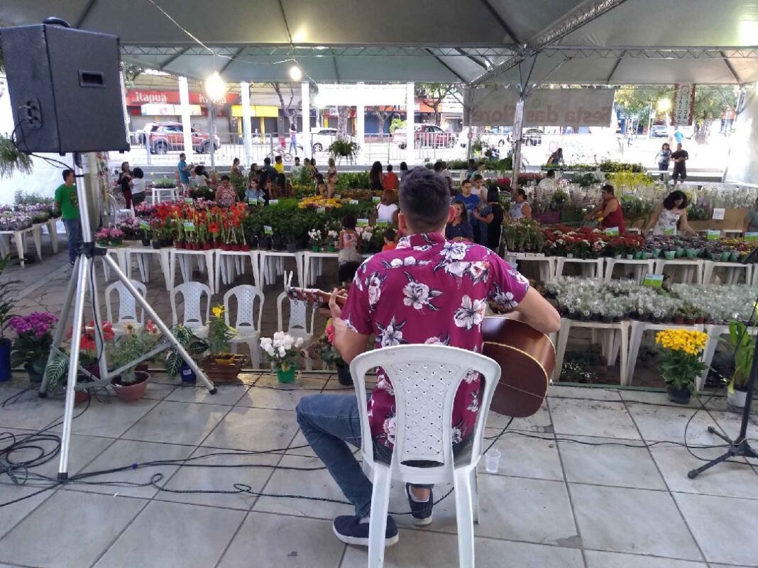 15ª festa das flores será de 9 a 19 em valadares