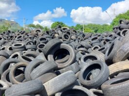 Criadouro de dengue: acúmulo de pneus na Semov II expõe comunidade a risco