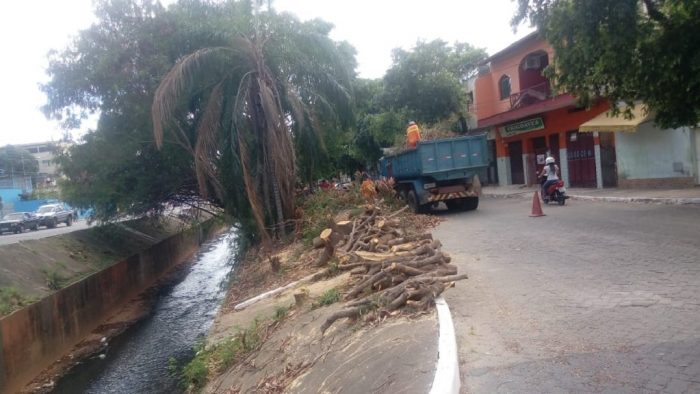 corte de árvores para colocar proteção no canal