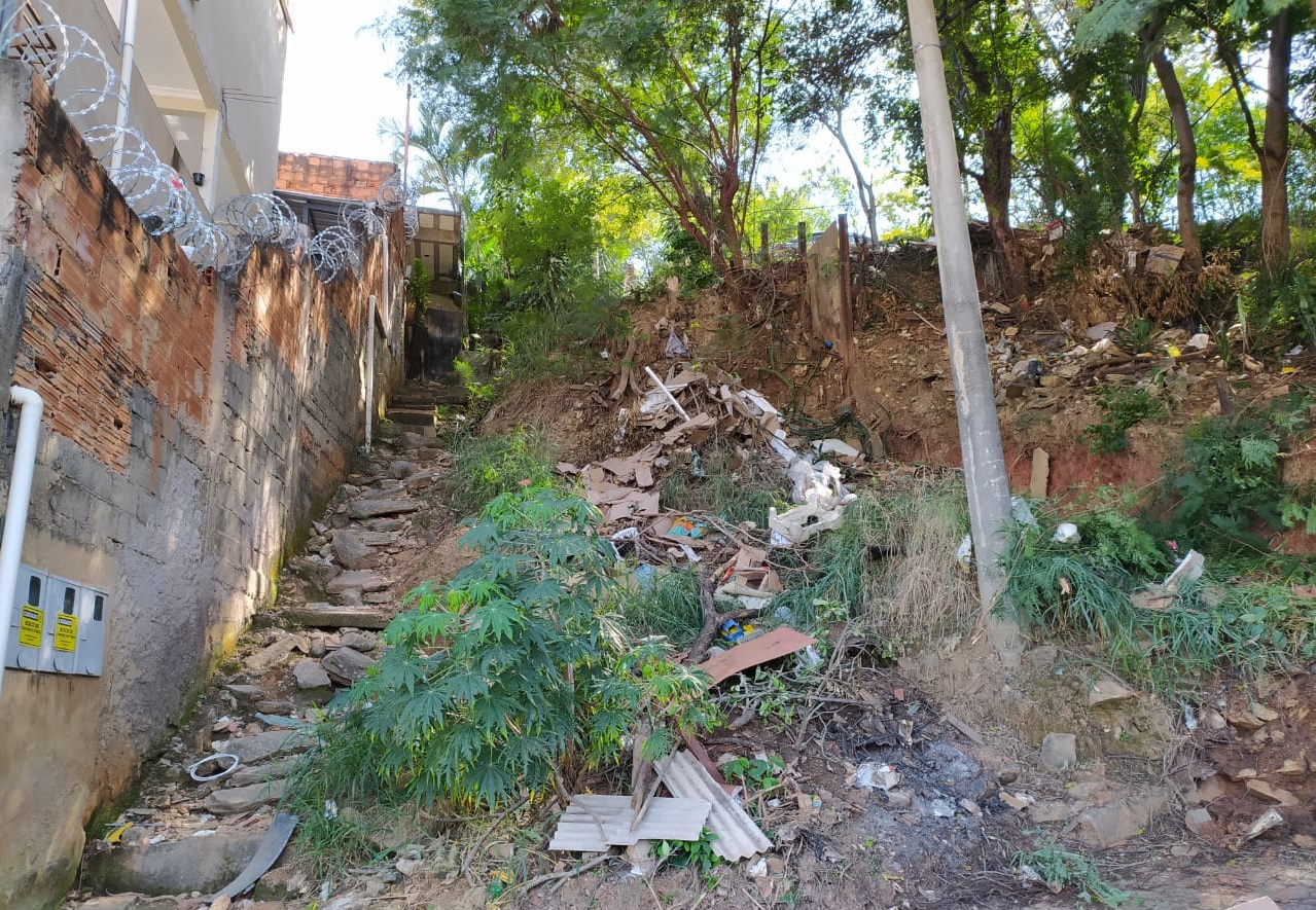 prefeitura ameaça isolar moradores vizinhos do parque figueira