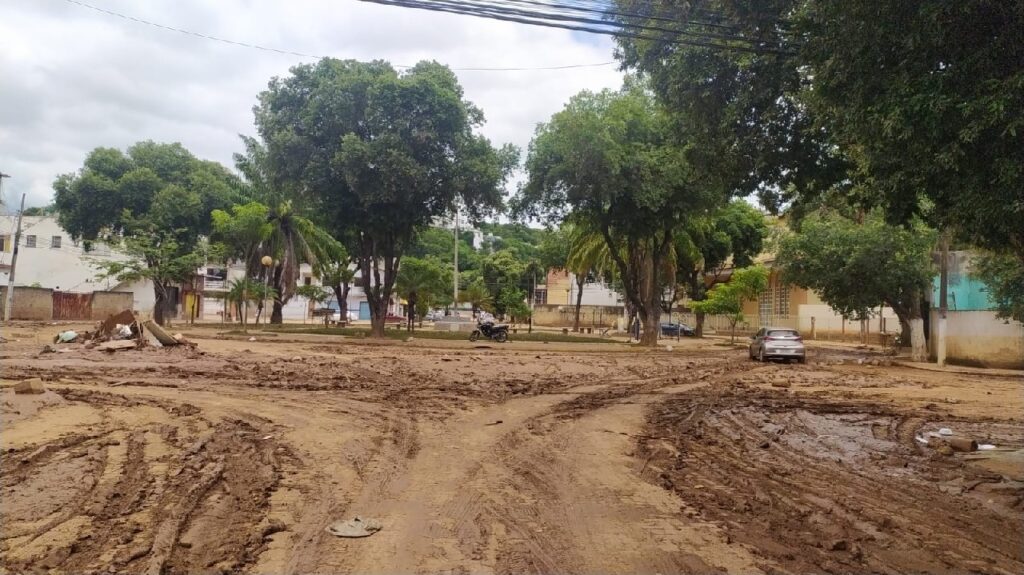 Confira fotos após terceira maior enchente de Valadares