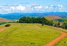MP pede a suspensão de leis e obras de chacreamentos em Valadares MP pede a suspensão de leis e obras de chacreamentos em Valadares