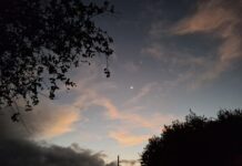 Ensaiando uma crônica poética para o amanhecer de outono Ensaiando uma crônica poética para o amanhecer de outono