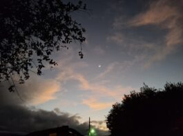 Ensaiando uma crônica poética para o amanhecer de outono