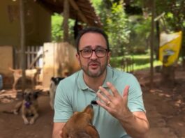 PET Saúde GV é lançado hoje em reunião do Conselho de Bem-Estar Animal