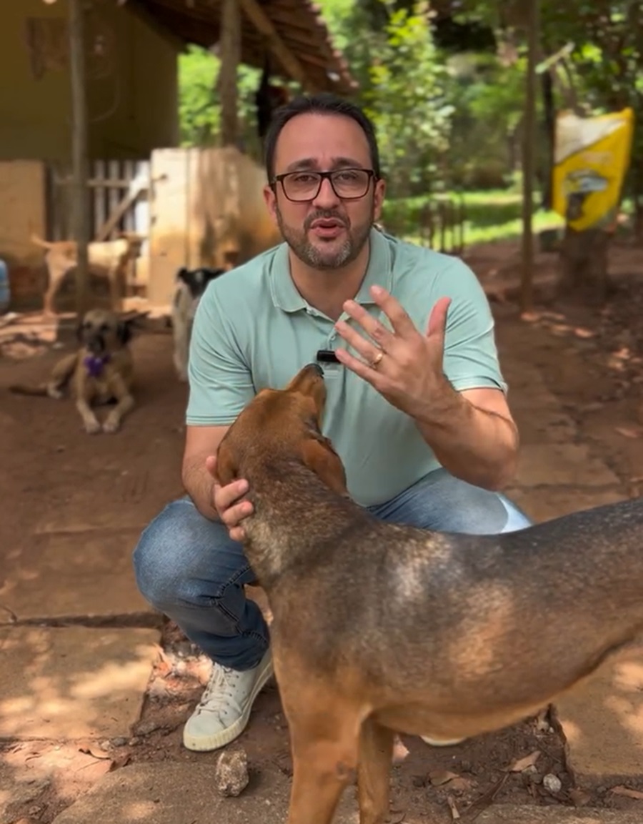 alê com animal 2 PET Saúde GV é lançado hoje em reunião do Conselho de Bem-Estar Animal