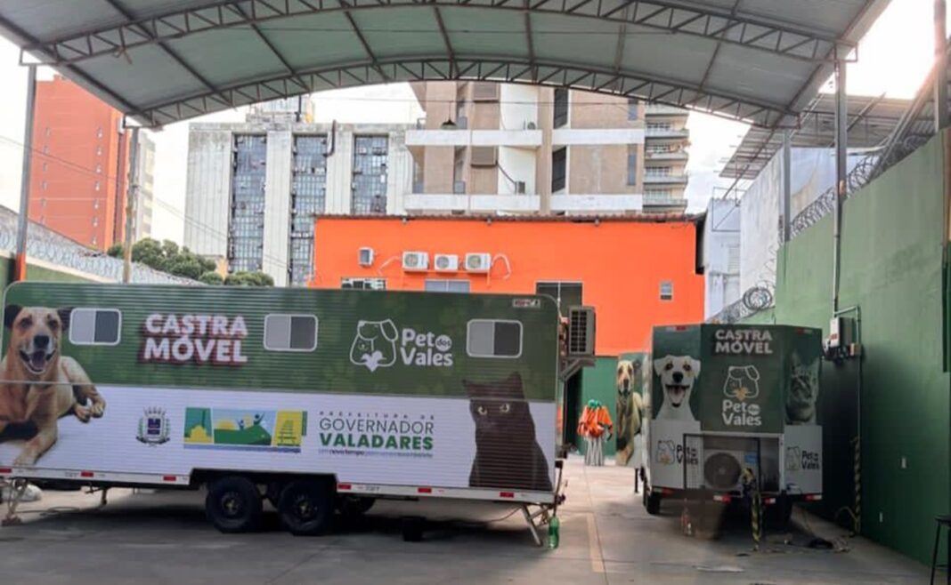 Castração gratuita atende cães e gatos no Altinópolis nesta sexta e sábado