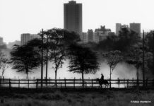 Festival Uaitoral reúne cultura e concurso em Valadares Festival Uaitoral reúne cultura e concurso em Valadares