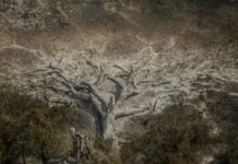 Mudanças climáticas já afetam 85% dos brasileiros, diz pesquisa Mudanças climáticas já afetam 85% dos brasileiros, diz pesquisa