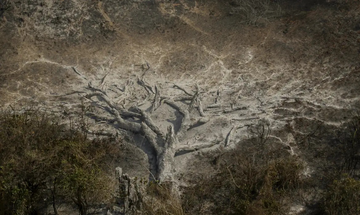 mudança climática - foto Joédson Alves - Agência Brasil Mudanças climáticas já afetam 85% dos brasileiros, diz pesquisa