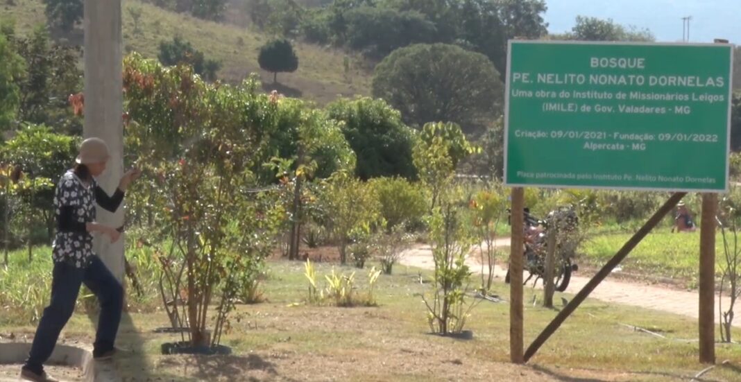Bosque Padre Nelito celebra cinco anos de preservação e memória neste domingo