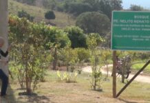 Bosque Padre Nelito celebra cinco anos de preservação e memória neste domingo Bosque Padre Nelito celebra cinco anos de preservação e memória neste domingo