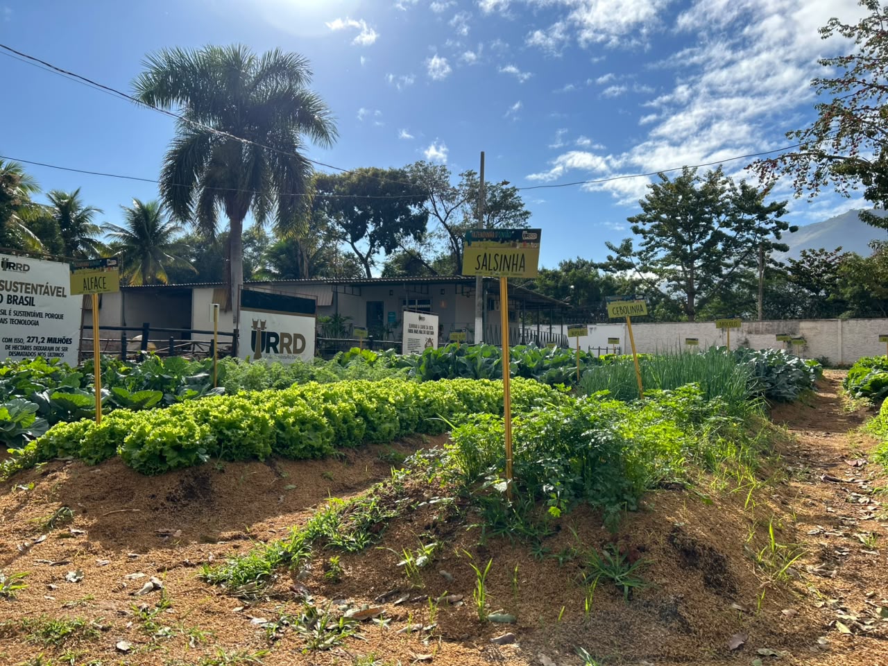 Expoagro destina 11 toneladas de alimentos e 10 mil litros de leite a entidades de Valadares